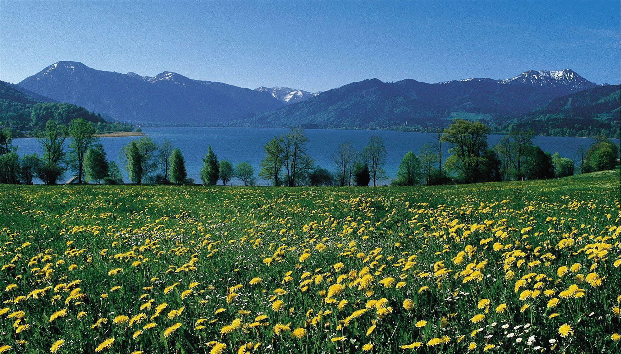 Hotel Setzberg Zum See Bad Wiessee